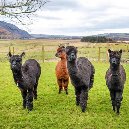Holiday home Howe Top